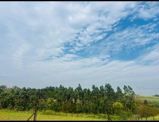 LAND FOR SALE IN ONGOYE